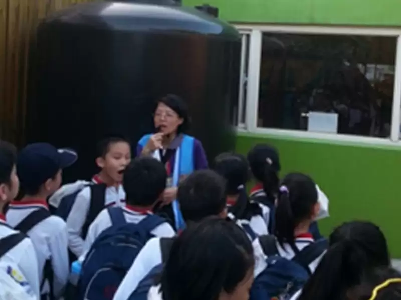 绿色魔法水与风