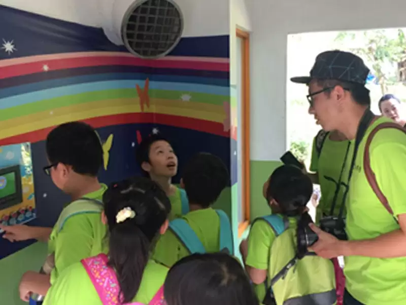 绿色魔力水与风