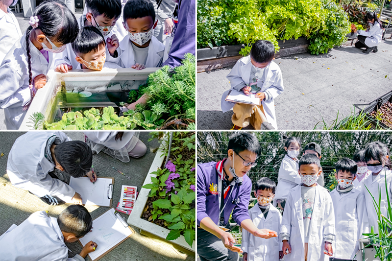 紅心皇后：把糖果變壞了！暑假團體套裝